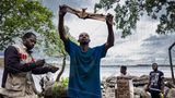 Jägern sammeln Fledermäuse auf einer Insel ein paar Stunden von Kongos Hauptstadt Brazzaville entfernt