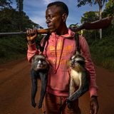 Kongo-Jäger Jonas Manguba mit zwei erschossenen Affen und einem Gewehr