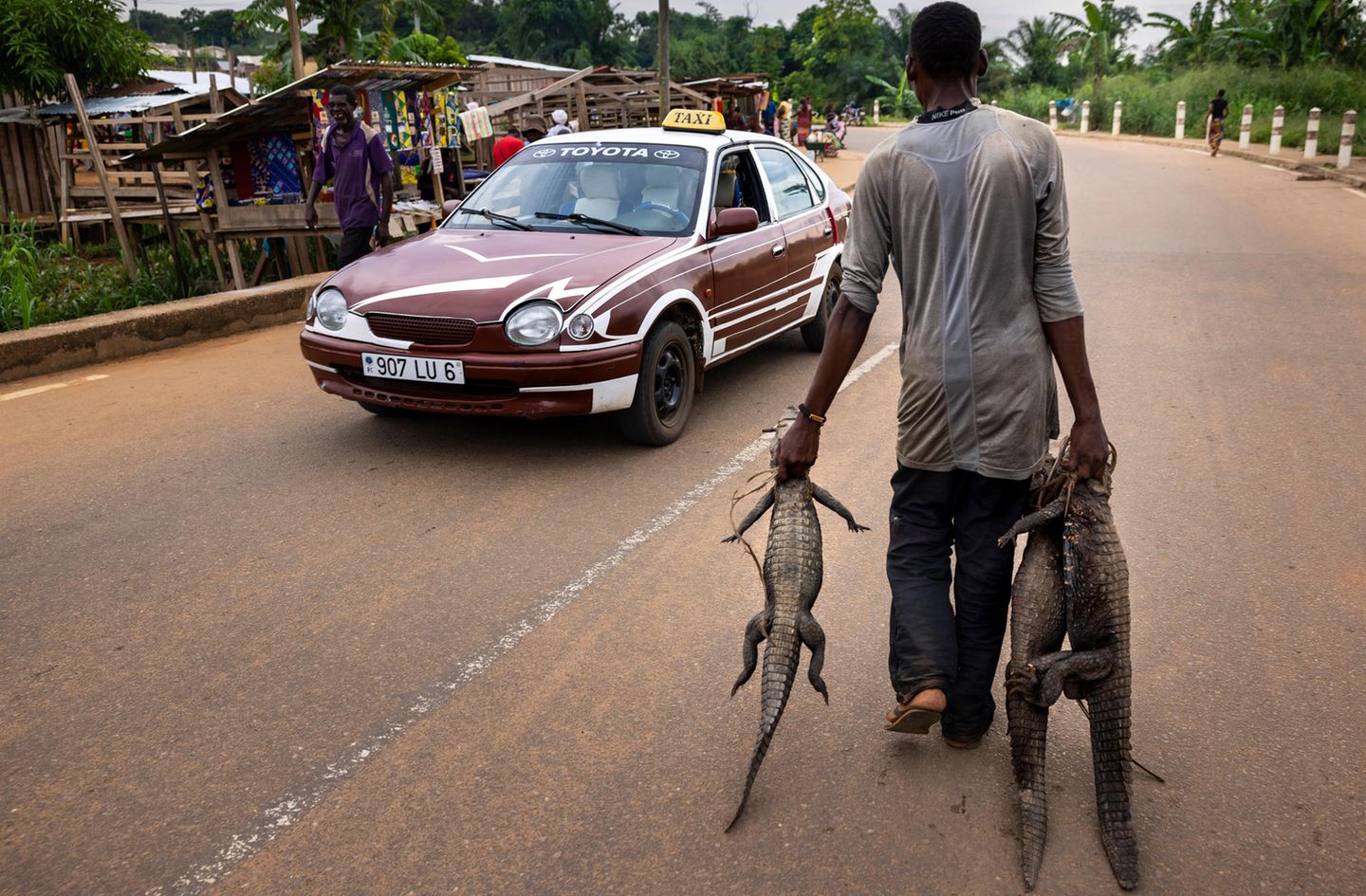 Ein Mann im Kongo geht mit drei toten Krokodilen in den Händen über eine Straße