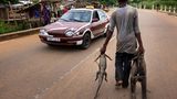 Ein Mann im Kongo geht mit drei toten Krokodilen in den Händen über eine Straße
