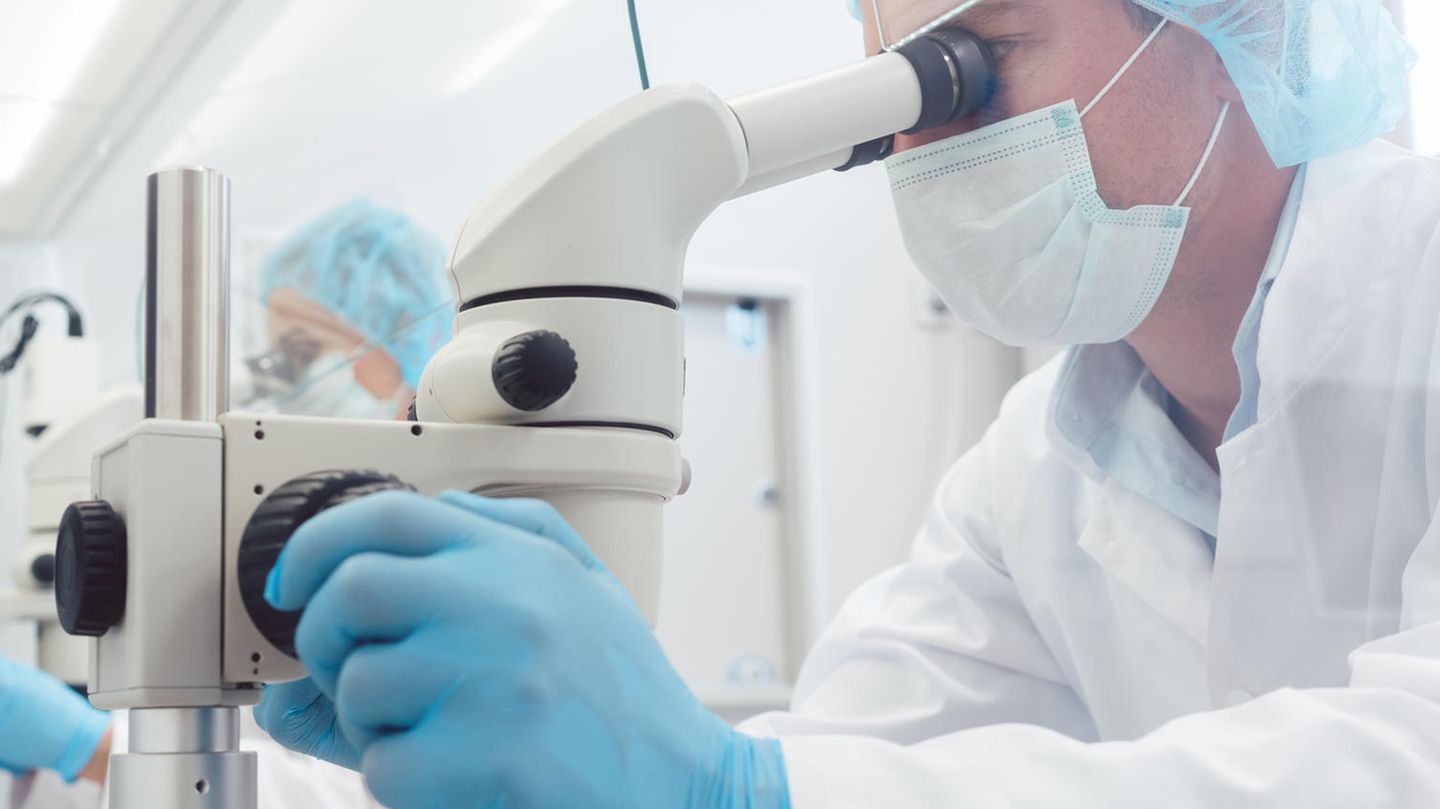 Alaskapocken: Blick in ein Labor mit Mikroskopen