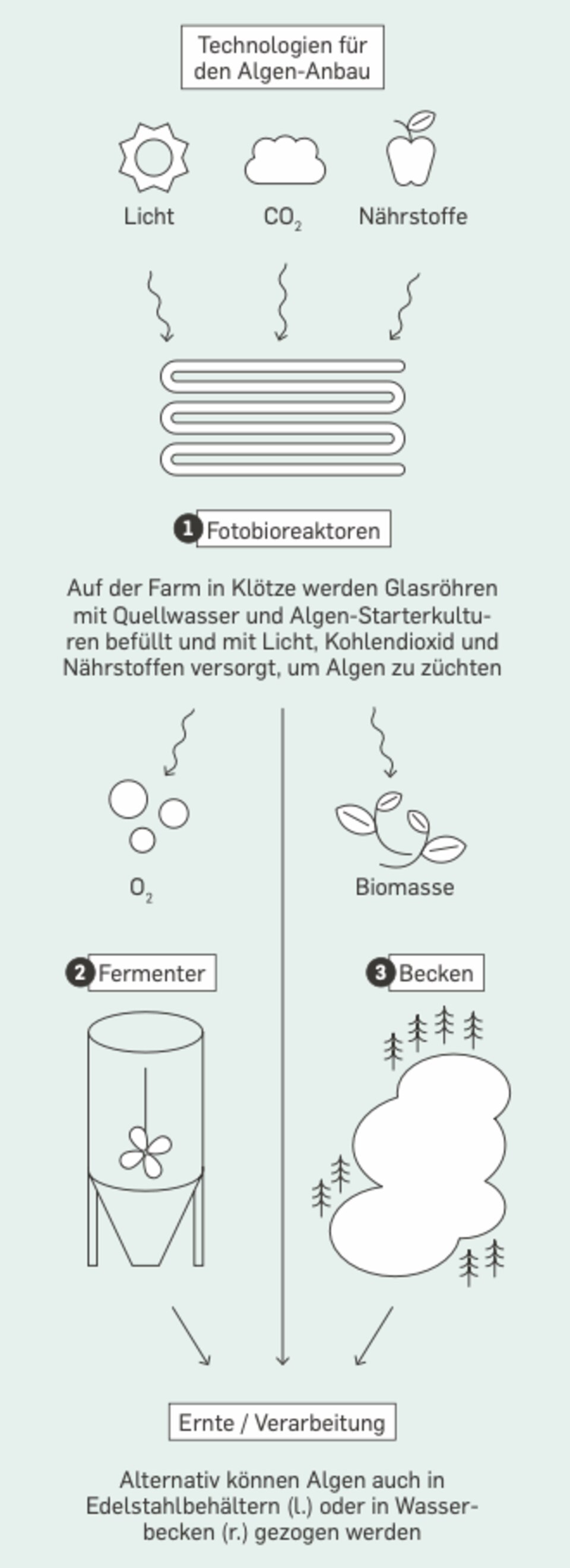 Green Revolution: Innovative technologies: This is how algae can replace fossil raw materials Green Revolution: Innovative technologies: This is how algae can replace fossil raw materials