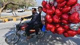 Islamabad, Pakistan. Angetrieben von Liebe fahren diese zwei Männer mit dem Moped durch die Straßen. Die Herz-Ballons haben die beiden auf einem Blumenmarkt gekauft. Ob sie diese weiterverkaufen wollen oder für ihre Liebsten sind, wissen wir nicht.