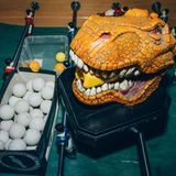 ein Brontosaurus-Kopf hält das Prontospray damit werden die Stangen eingesprüht, daneben eine Box mit Bällen