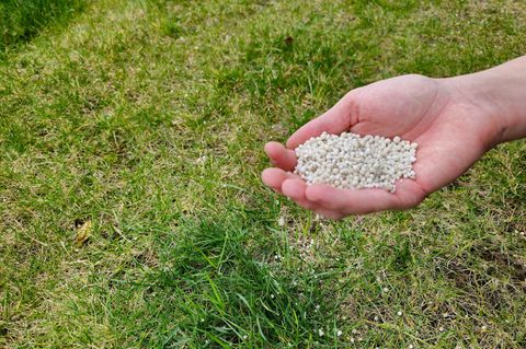 Rasen düngen im Frühjahr: Handaussaat mit mineralischem Rasendünger