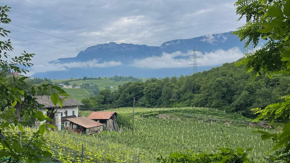 Wandern und Wein – beides gehört irgendwie zu Südtirol. Warum also nicht gleich miteinander verbinden?