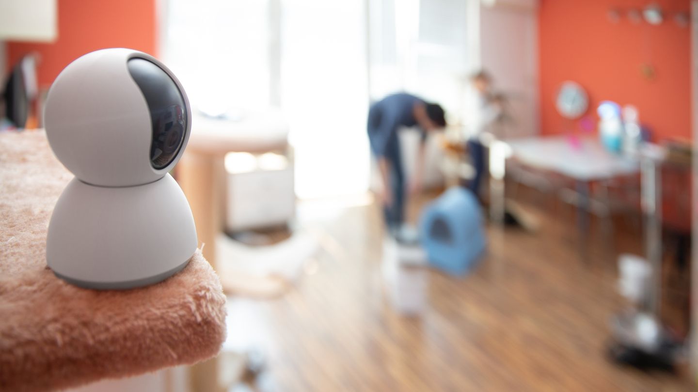 Eine Haustier-Kamera als Symbolfoto