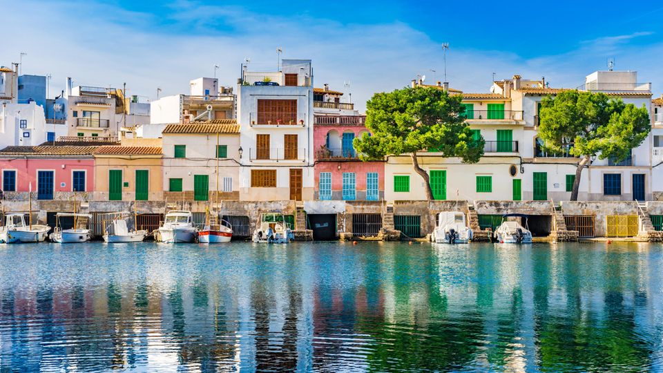 Es klingt für viele Menschen wie ein Traumurlaub: Ein verschlafenes Fischerdörfchen mit einem feinen Sandstrand, umgeben von viel Natur und zudem vielen Ausgehmöglichkeiten. Kein Wunder, dass Portocolom mittlerweile zu den beliebtesten Urlaubsorten auf Mallorca gehört. Blöd nur, dass es nicht nur Urlaubern dort gefällt: Seit ein paar Monaten machen sich auch Ringeltauben in dem Ort breit – und die sorgen für jede Menge Dreck, wie das "MallorcaMagazin" berichtet. Vor allem im hafennahen Viertel Bassa Nova sei mittlerweile alles voller Taubenkot: Terrassen, Fensterläden, Fußwege, Bänke, Strandliegen... Da das zunehmend für Unmut unter Einheimischen und Touristen sorge, habe die Region nun das Jagd-Dezernat auf die Tauben angesetzt. Gemeinsam mit einer extra gegründeten Bürgerinitiative wolle man die Lage bis Ende des Monats in den Griff kriegen, heißt es. Ob das gelingt, wird man sehen – bis dahin sollte man sich in Portocolom allerdings auf ein nicht ganz so friedliches Fischeridyll einstellen.