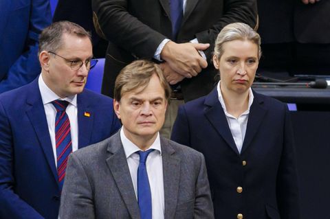 Tino Chrupalla, Bernd Baumann und Alice Weidel: niedrigste Umfragewerte seit Juni 2023