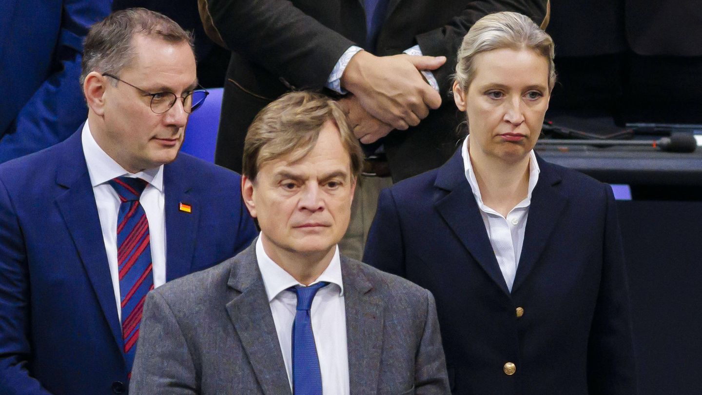 Tino Chrupalla, Bernd Baumann und Alice Weidel: niedrigste Umfragewerte seit Juni 2023