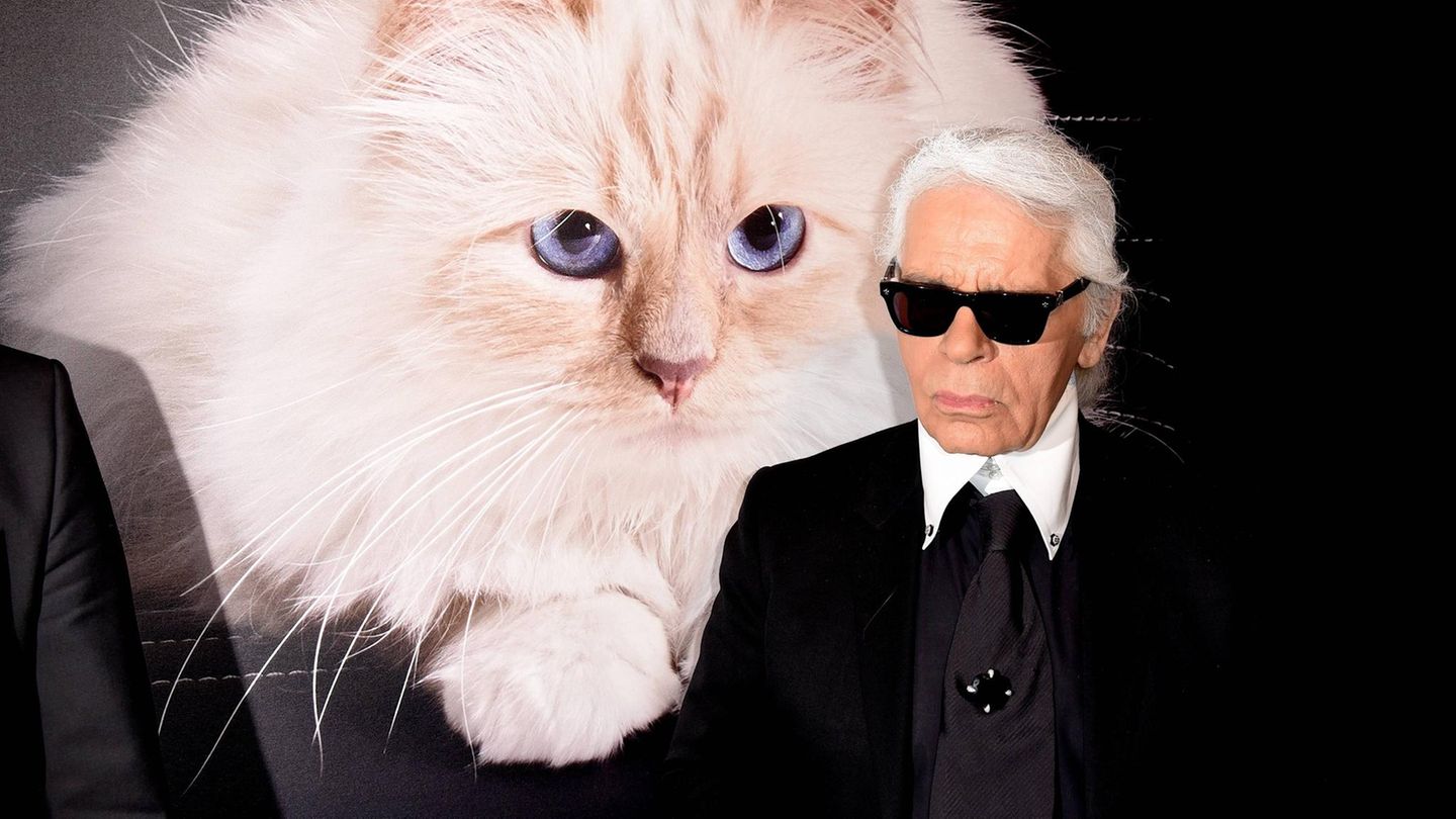 Lagerfeld, im Hintergrund ein Bild seiner Katze Choupette