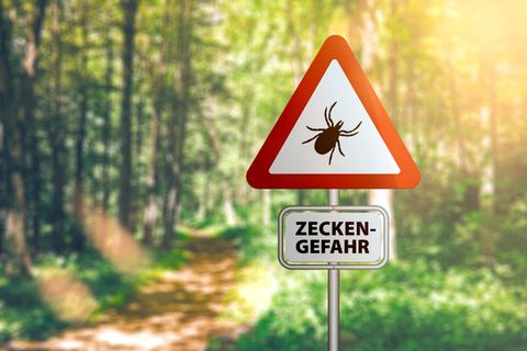 Zeckenjahr: Warnschild auf Waldweg