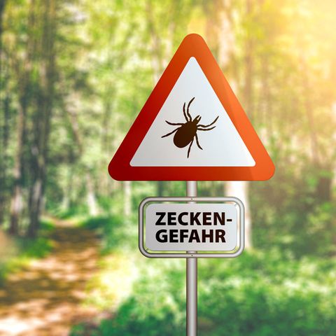 Zeckenjahr: Warnschild auf Waldweg