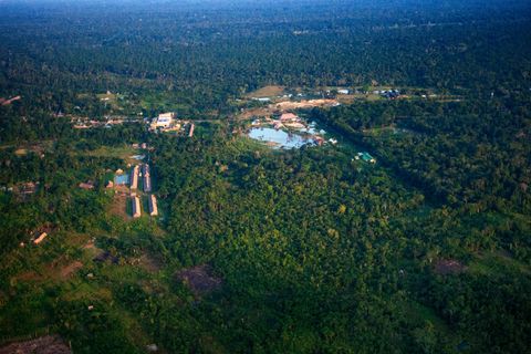 Luftaufnahme des Amazonas-Regendwalds