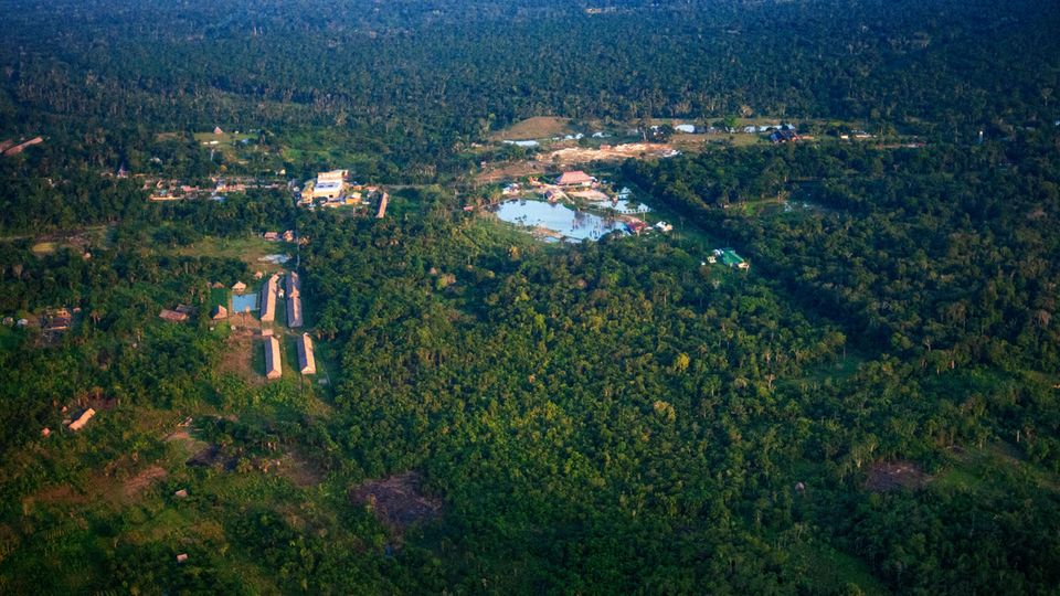 Luftaufnahme des Amazonas-Regendwalds