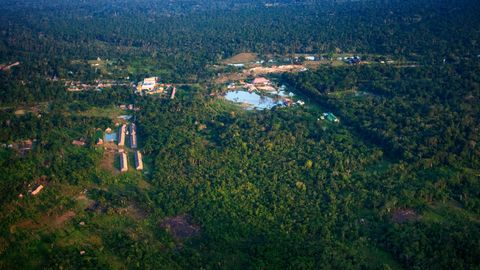 Luftaufnahme des Amazonas-Regendwalds