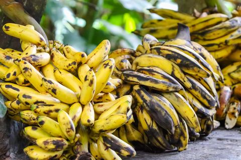 Bananen aus Ecuador: der Import nach Russland wurde von Putin gestoppt