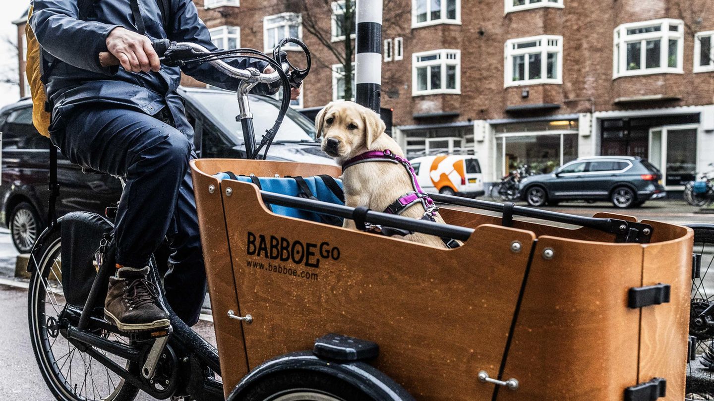 Babboe: Have financial investors cut costs for the cargo bike manufacturer?