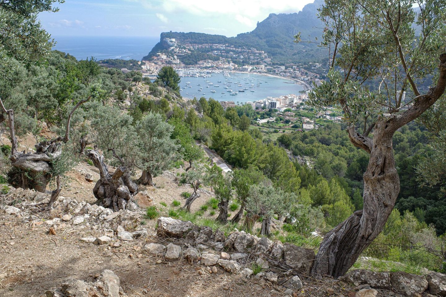 mallorca mallorca