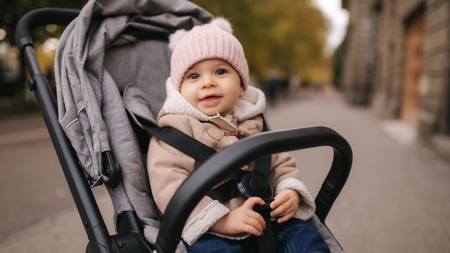 Stiftung Warentest: Buggies fail in droves