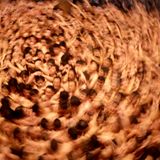 Saidaiji-Eyo Festival