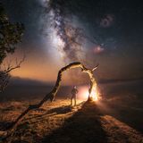 Ein Mann steht neben einem brennenden Baum unter dem Sternenhimmel in Madeira
