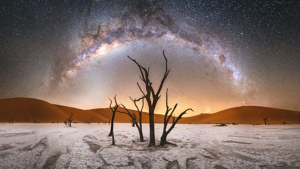 Die Sterne der Milchstraße leuchten über dem Deadvlei in Namibia