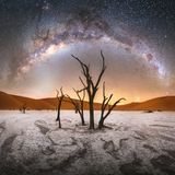 Die Sterne der Milchstraße leuchten über dem Deadvlei in Namibia