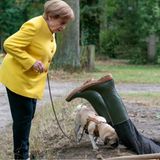 Krimikomödie: Miss Merkel  Seit 2023 wissen wir es: Angela Merkel zog nach dem Ende ihres Jobs als Bundeskanzlerin mit Mann Joachim Sauer und Mops Helmut in die beschauliche Uckermark. Was sie dort macht? Ihr fällt die Decke auf den Kopf. Zu ihrem Glück und anderen Unglück wird auch im Berliner Umland gemordet und Miss Merkel entdeckt ihre Leidenschaft als Hobby-Detektivin. Nach dem ersten Teil der satirischen Krimigeschichte hat RTL im März 2024 nun den zweiten Fall für das Ermittlerteam Merkel nachgeschoben: Miss Merkel und der Mord auf dem Friedhof. Freunde flacher Witze und satirischer Anspielungen auf die Regierungszeit der Alt-Kanzlerin werden auf ihre Kosten kommen. Erstausstrahlung ist der 24. März auf RTL bzw. bei der Bezahlapp RTL+.