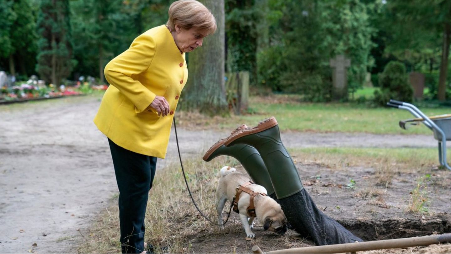 Fernseh-Tipps: Krimikomödie: Miss Merkel Seit 2023 wissen wir es: Angela Merkel zog nach dem Ende ihres Jobs als Bundeskanzlerin mit Mann Joachim Sauer und Mops Helmut in die beschauliche Uckermark. Was sie dort macht? Ihr fällt die Decke auf den Kopf. Zu ihrem Glück und anderen Unglück wird auch im Berliner Umland gemordet und Miss Merkel entdeckt ihre Leidenschaft als Hobby-Detektivin. Nach dem ersten Teil der satirischen Krimigeschichte hat RTL im März 2024 nun den zweiten Fall für das Ermittlerteam Merkel nachgeschoben: Miss Merkel und der Mord auf dem Friedhof. Freunde flacher Witze und satirischer Anspielungen auf die Regierungszeit der Alt-Kanzlerin werden auf ihre Kosten kommen. Erstausstrahlung ist der 24. März auf RTL bzw. bei der Bezahlapp RTL+. Krimikomödie: Miss Merkel  Seit 2023 wissen wir es: Angela Merkel zog nach dem Ende ihres Jobs als Bundeskanzlerin mit Mann Joachim Sauer und Mops Helmut in die beschauliche Uckermark. Was sie dort macht? Ihr fällt die Decke auf den Kopf. Zu ihrem Glück und anderen Unglück wird auch im Berliner Umland gemordet und Miss Merkel entdeckt ihre Leidenschaft als Hobby-Detektivin. Nach dem ersten Teil der satirischen Krimigeschichte hat RTL im März 2024 nun den zweiten Fall für das Ermittlerteam Merkel nachgeschoben: Miss Merkel und der Mord auf dem Friedhof. Freunde flacher Witze und satirischer Anspielungen auf die Regierungszeit der Alt-Kanzlerin werden auf ihre Kosten kommen. Erstausstrahlung ist der 24. März auf RTL bzw. bei der Bezahlapp RTL+.