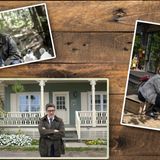 Mystery Krimi: Three Pines  In dieser Krimiserie trifft britischer Humor auf kanadische Landschaft, mittendrin der bei seinem Vorgesetzen in Ungnade gefallene Inspector Armans Gamache. Er wird in das verschlafene Nest Three Pines geschickt, um den Tod einer alten Dame zu untersuchen. Hauptsache Gamache ist weit weg und richtet keinen Schaden an. Vor Ort trifft der Beamte mit dem feinen Gespür für das Mystische auf eine Menge schräger Gestalten und reichlich Verdächtige. Die Serie wurde 2022 gedreht, feiert jedoch dieses Jahr auf Sat.1 ihre deutsche TV-Premiere. Jede der acht Folgen wird ausgeruht in Spielfilmlänge erzählt. 