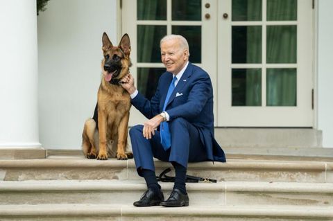Joe Biden mit seinem Deutschen Schäferhund Commander