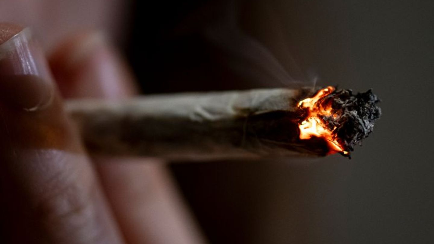 Cannabis law: Ministers warn against overburdening the judiciary