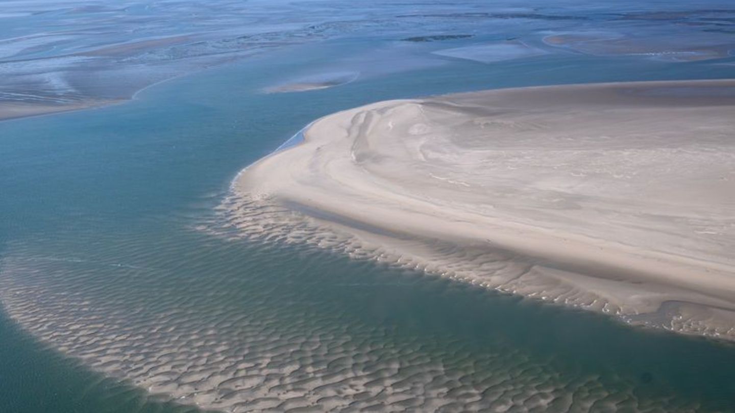 Folgen des Klimawandels: Im Wattenmeer ist der Wurm drin – aber vielleicht nicht mehr lange