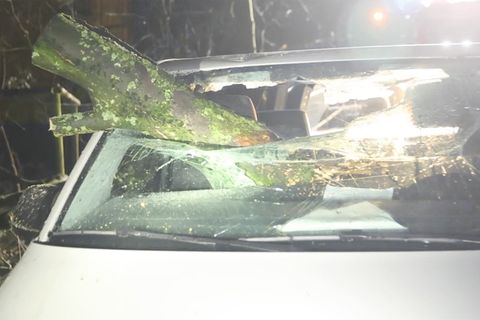 Sturm in Deutschland: Baum durchschlägt Frontscheibe - hinten sitzt Polizist