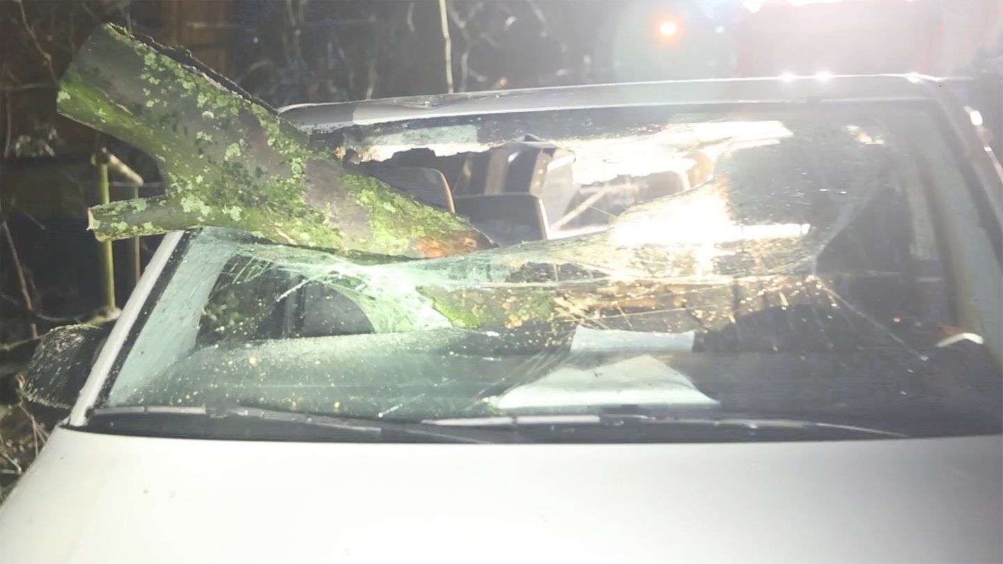 Sturm in Deutschland: Baum durchschlägt Frontscheibe – Polizist auf der Rückbank hat Schutzengel