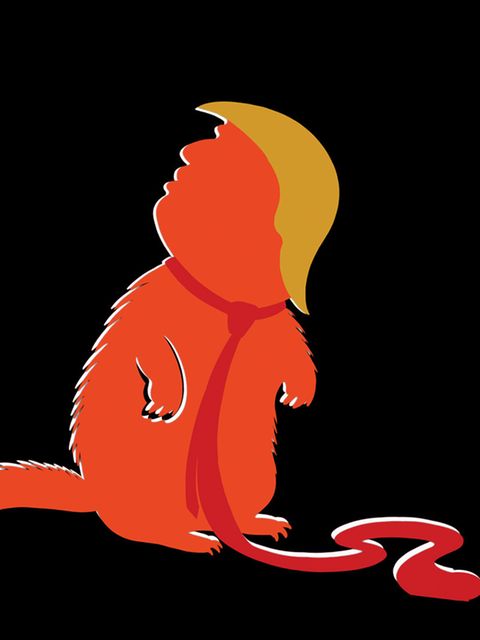 Illustration zeigt Trump als Murmeltier