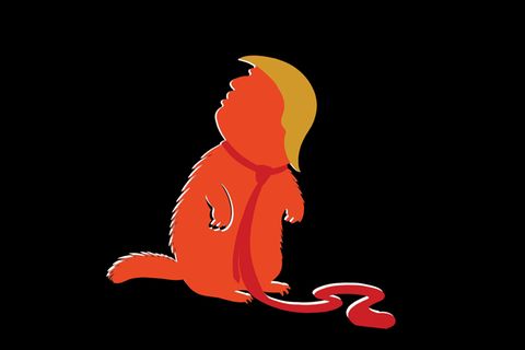 Illustration zeigt Trump als Murmeltier