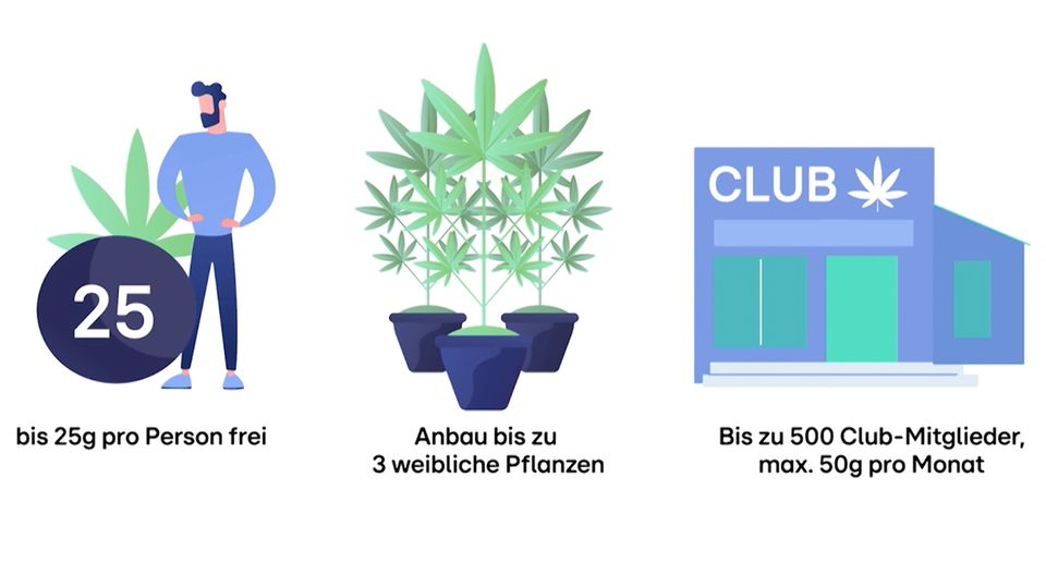 Cannabis-Legalisierung: Müssen 100.000 Fälle neu aufgerollt werden?