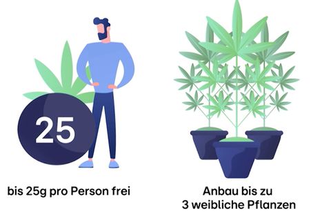 Cannabis-Legalisierung: Müssen 100.000 Fälle neu aufgerollt werden?