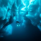 Der Lebensraum der Eishaie ist umgeben von mächtigen Eisbergen und den dunklen Untiefen des arktischen Meeres. Der bis zu acht Meter große Hai bewegt sich in der Regel sehr langsam durch sein Revier und kann bis zu 2000 Meter tief tauchen.