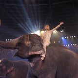 Uschi Glas sitzt auf einem Elefanten