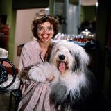 Uschi Glas mit einem Hund, ihr Gesicht ist geschminkt wie ein Clown