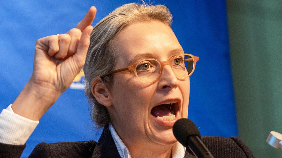 AfD Parteitag von Alice Weidels Landesverband bestätigt Führungsduo