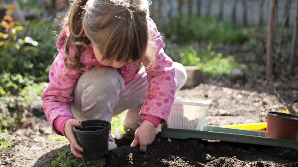 Gefahr im Garten: Auf diese Giftpflanzen sollten Eltern besser verzichten