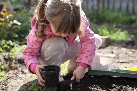 Gefahr im Garten: Auf diese Giftpflanzen sollten Eltern besser verzichten