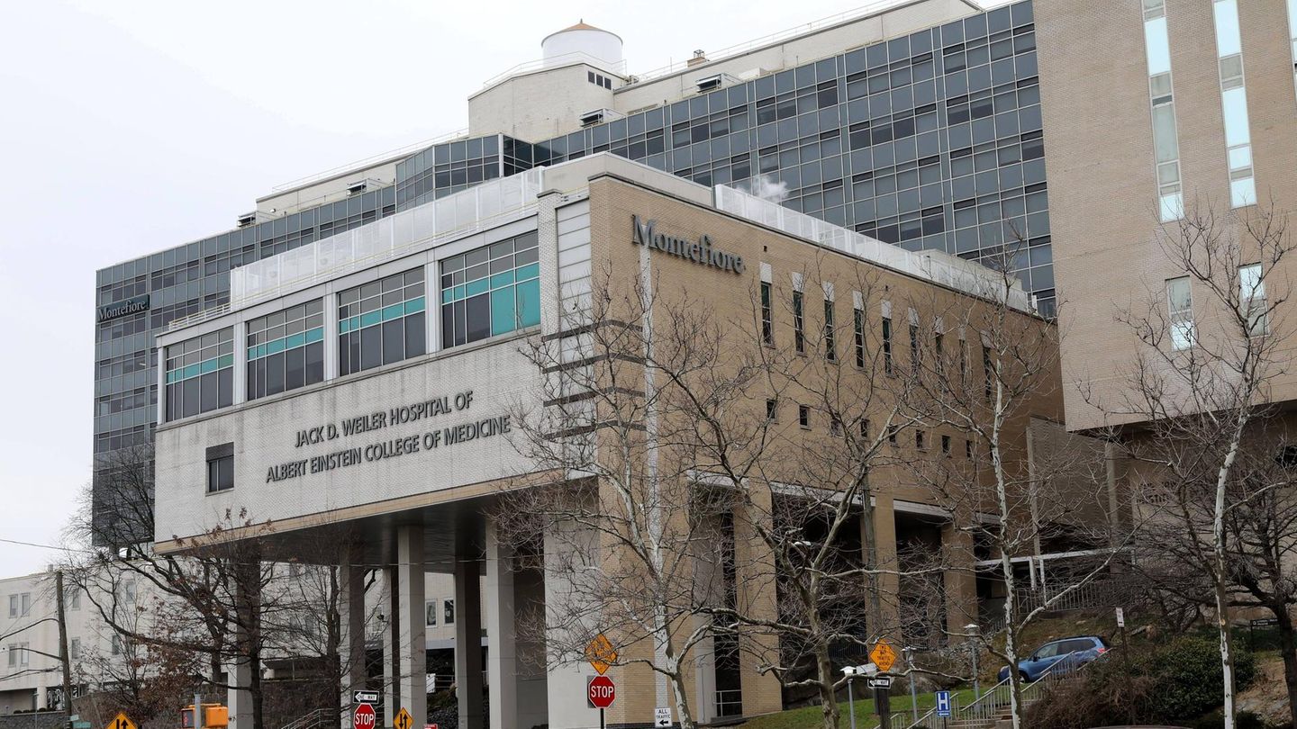 Ruth Gottesman unterrichtete Kinderheilkunde an der Albert Einstein Universität in der Bronx, New York