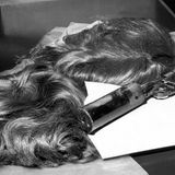 Drei Jahrzehnte des Terrors – die Geschichte der Roten Armee Fraktion in Bildern