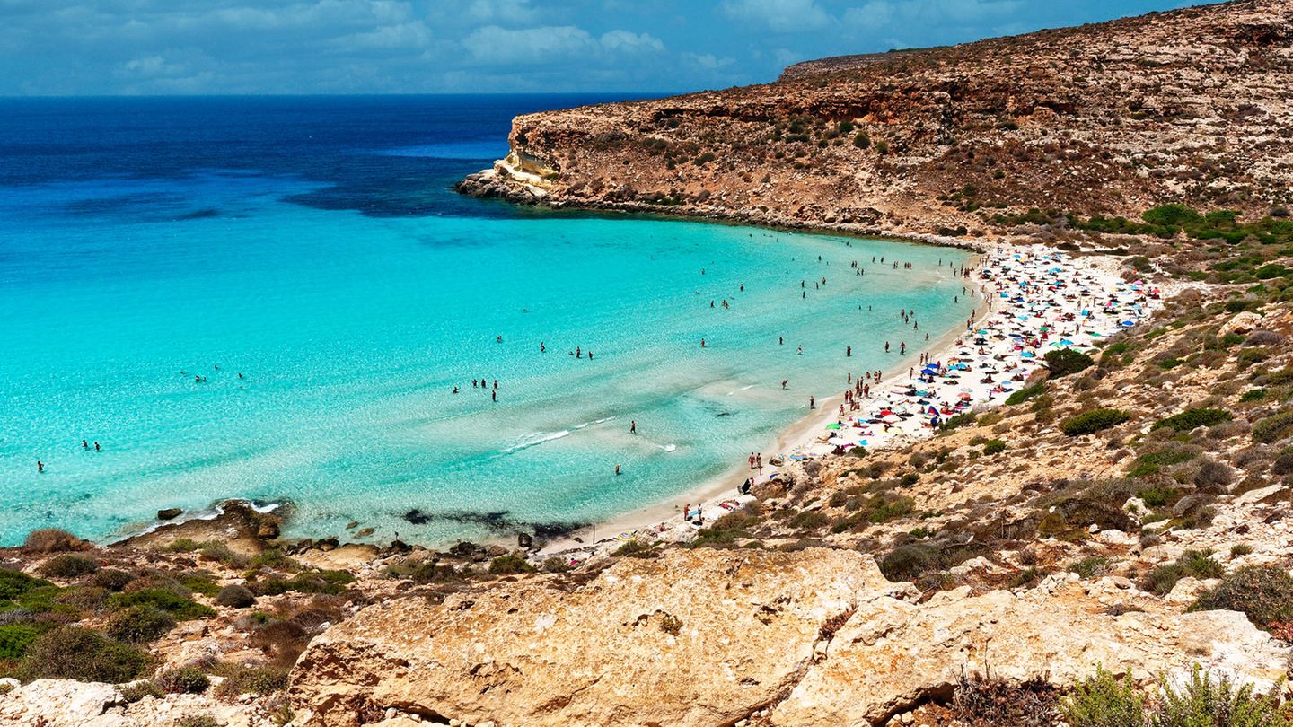 Auf der italienischen Insel Lampedusa findet man gleich mehrere Traumstrände mit türkisblauem Wasser. Der beliebteste von ihnen ist der Spiaggia dei conigli – auch als Kaninchenstrand bekannt. Aber die dort lebenden kleinen Häschen sind nicht das einzige, was Besucher begeistert – vor allem ist es wohl der weiße Sandstrand und das glasklare Wasser.