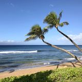 Schnorcheln, tauchen oder einfach nur die Sonne unter Palmen genießen – das geht am Ka’anapali Beach auf der Hawaii-Insel Maui. Die sanften Wellen des türkisblauen Wassers sorgen dafür, dass auch Schwimmanfänger das Meer genießen können. 